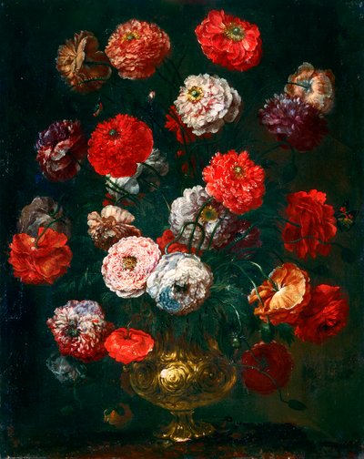 Amapola de Bartolomeo Bimbi